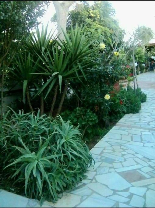 Hersonissos Venus 2 Bedroom House Экстерьер фото